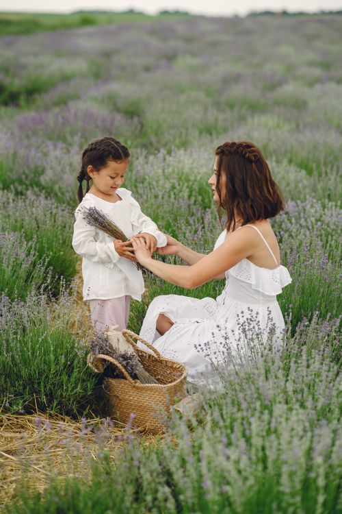 Free A mother and daughter bond in a lush lavender field, enjoying a sunny summer day. Stock Photo