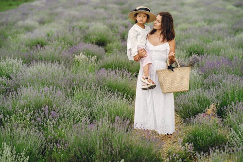 Photos gratuites de beauté dans la nature, couleur lavande, domaine agricole