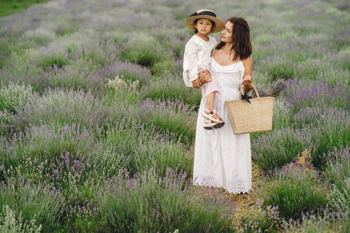 Free A mother and daughter enjoy a peaceful day in a blooming lavender field. Stock Photo