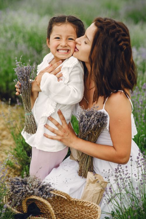 Free A joyful mother kissing her daughter in a vibrant lavender field during summer, capturing family love. Stock Photo
