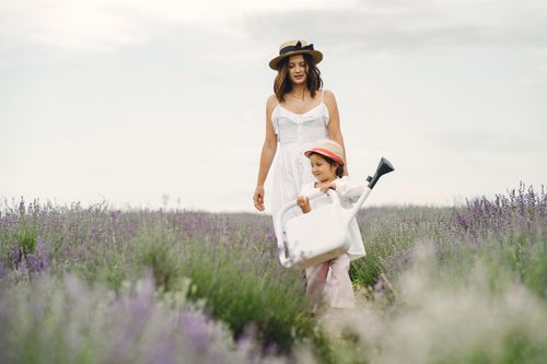Free A serene moment of a mother and child walking through a lavender field, capturing togetherness. Stock Photo