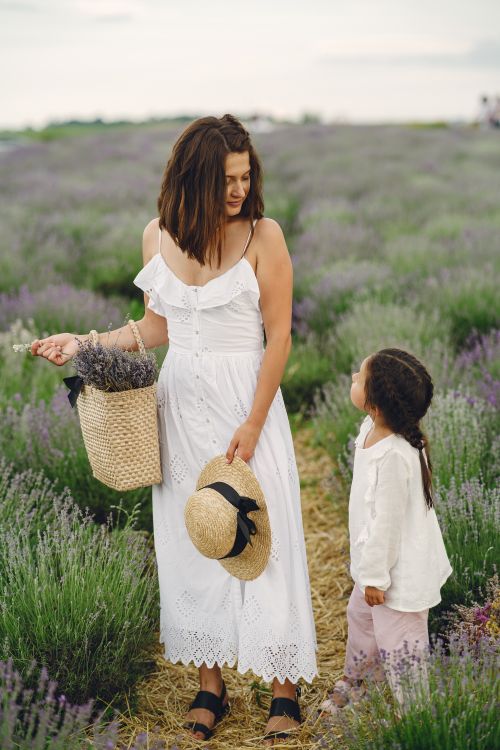Free Mother and daughter enjoy a sunny day in a blooming lavender field, sharing a warm connection. Stock Photo