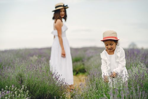 Free A mother and daughter enjoying a walk in a scenic lavender field on a summer day. Stock Photo