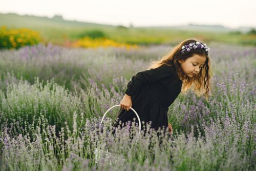 Free A young girl enjoys a lavender field, wearing a floral wreath and holding a basket. Stock Photo
