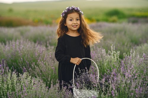 Free Adorable girl in black dress with flower crown smiling in a lavender field, holding a basket. Stock Photo