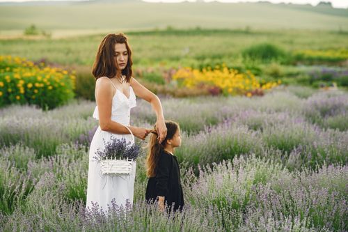 Free A serene moment of a mother braiding her daughter's hair in a vibrant lavender field. Stock Photo