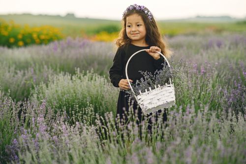 Free A joyful young girl stands in a lavender field holding a basket with a flower crown adorning her head. Stock Photo