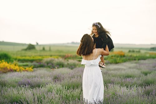 Free A loving mother lifts her smiling daughter in a flourishing lavender field during the day. Stock Photo