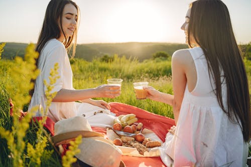 Two Women Toasting a Drink on a Picnic Blanket