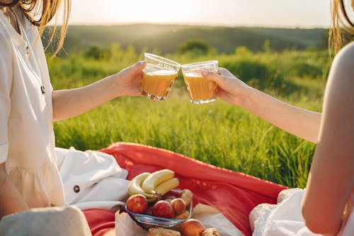 Women Toasting Drink Glasses on a Picnic Blanket