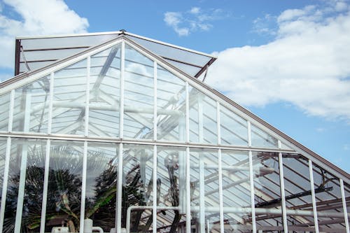 Glass Rooftop of Greenhouse 