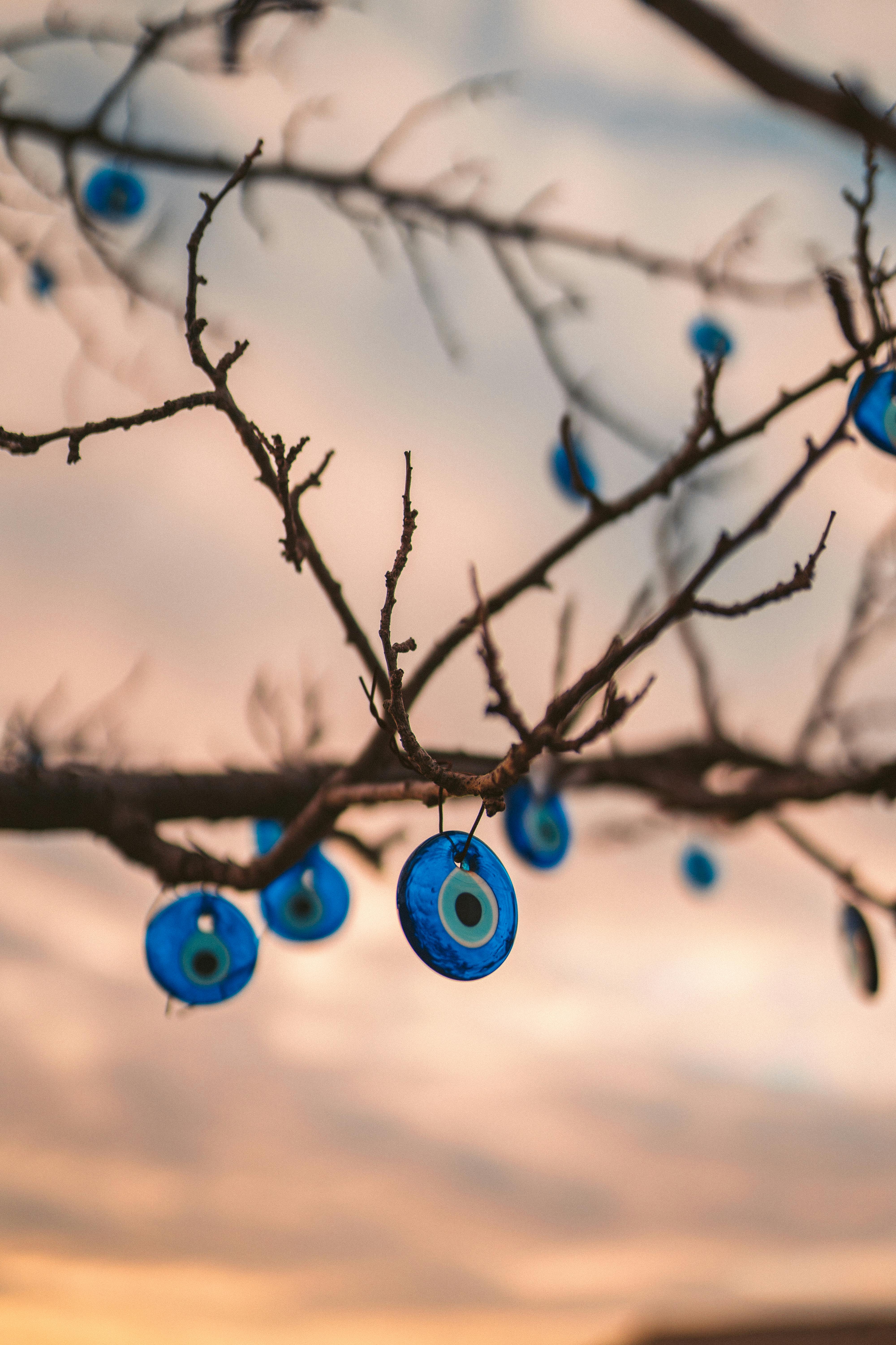 Chùm mắt ác độc được treo lên nhánh cây có thể khiến ai đó cảm thấy ám ảnh, nhưng với sự kỳ lạ và đáng sợ của chúng, bạn có chắc chắn muốn bỏ qua cơ hội để khám phá hình ảnh này không? 