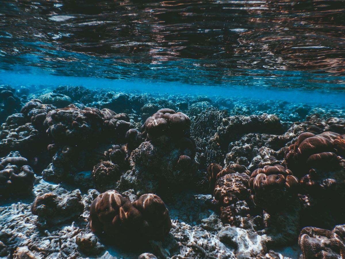 Ningaloo Reef