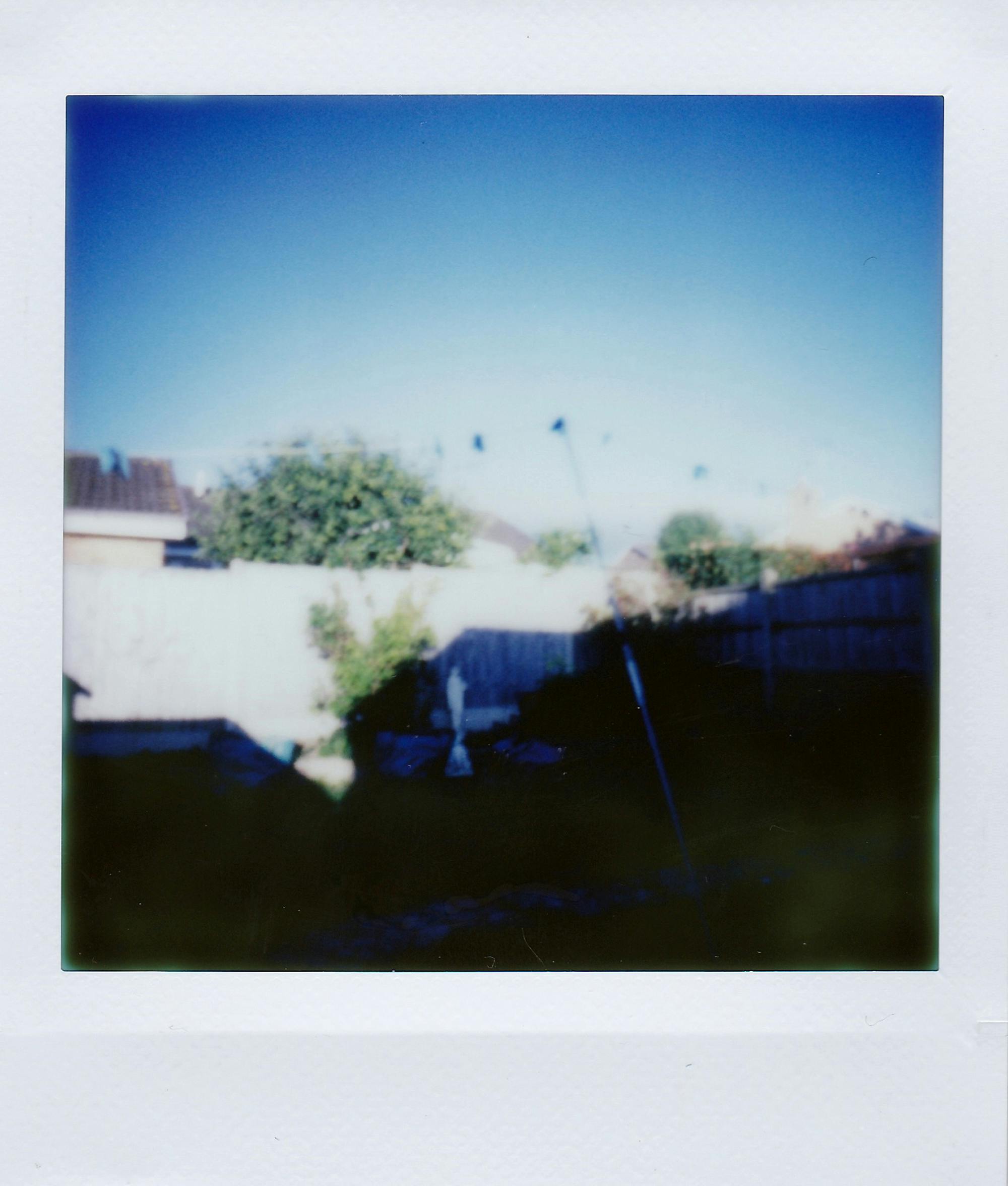 A blurred outdoor garden scene under a bright blue sky, surrounded by a wooden fence.