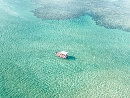 Aerial Photography of a Pink Boat on the Ocean