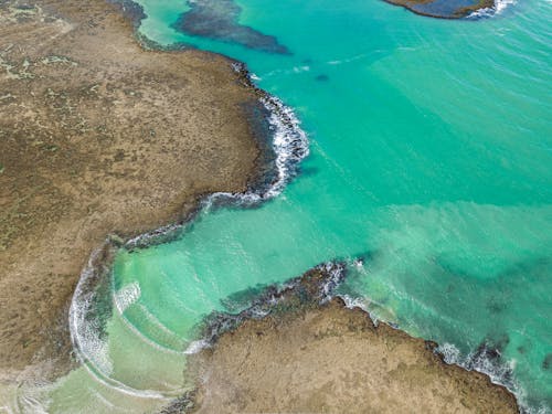 Aerial Photography of Sea Waves Crashing on the Shore