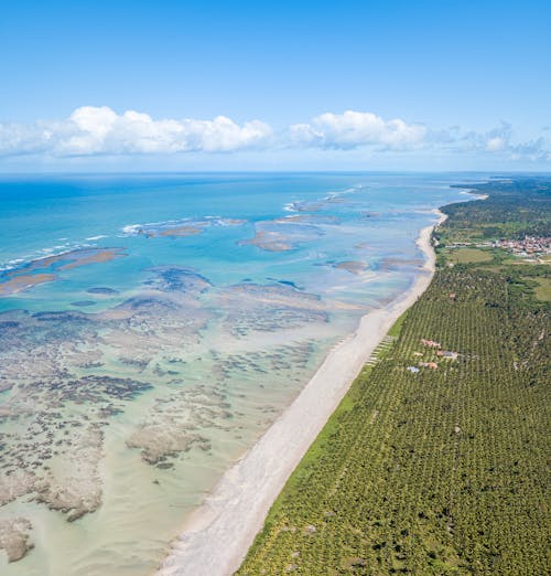 Aerial Shot of the Shoreline