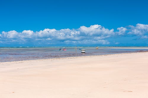 Free stock photo of amante da praia, areia da praia, barcos a motor
