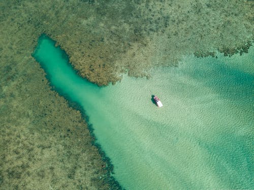 Aerial Photography of a Pink Boat on the Ocean