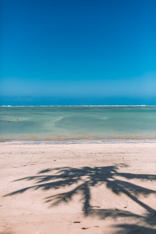 Foto profissional grátis de à beira-mar, beira mar, céu azul