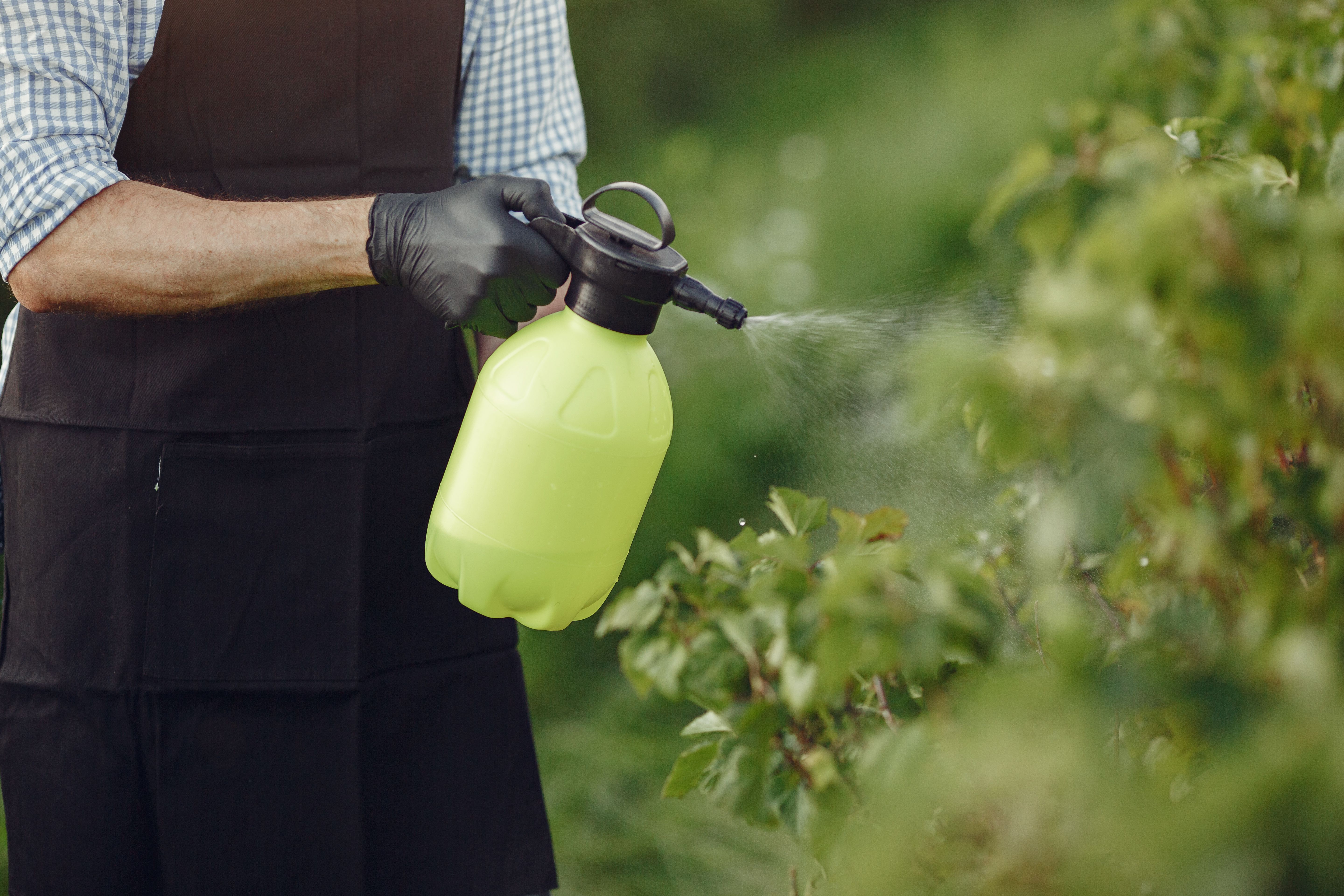 Comment lutter contre les nématodes parasites naturellement