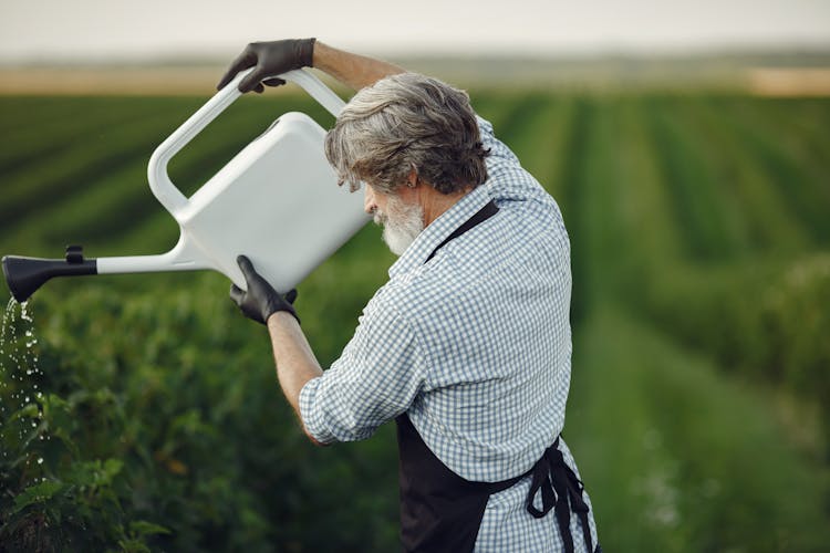 Man Watering Plants