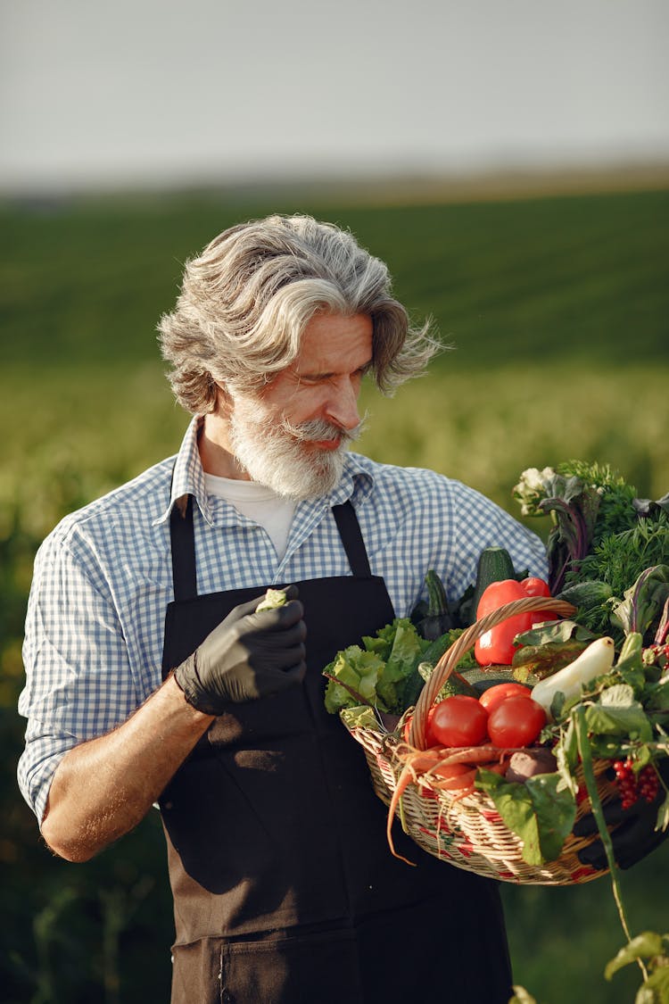 Old Man Farmer With Basket Of Fresh Vegetables