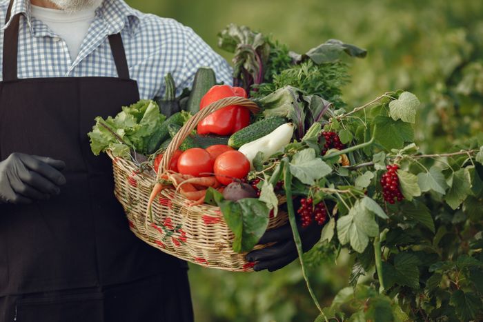 Agricultor com cesta de alimentos frescos