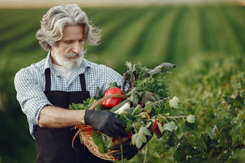 Immagine gratuita di agricoltura, anziano, barba