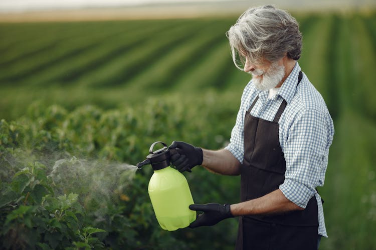 Elderly Farmer Spraying Garden Plants