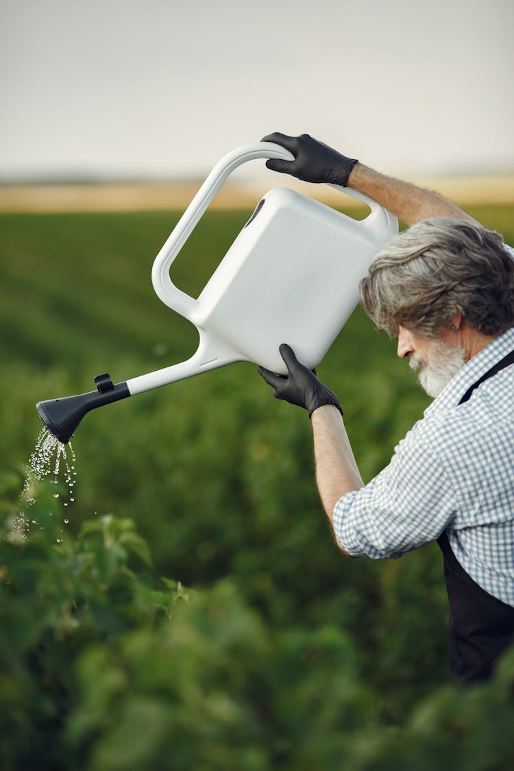 Man Watering Plants On Field