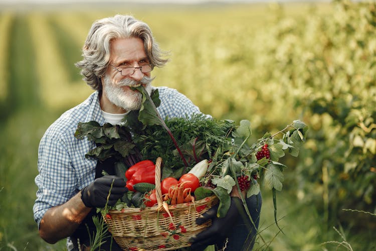 Man With Basket Of Vegetables In Garden 