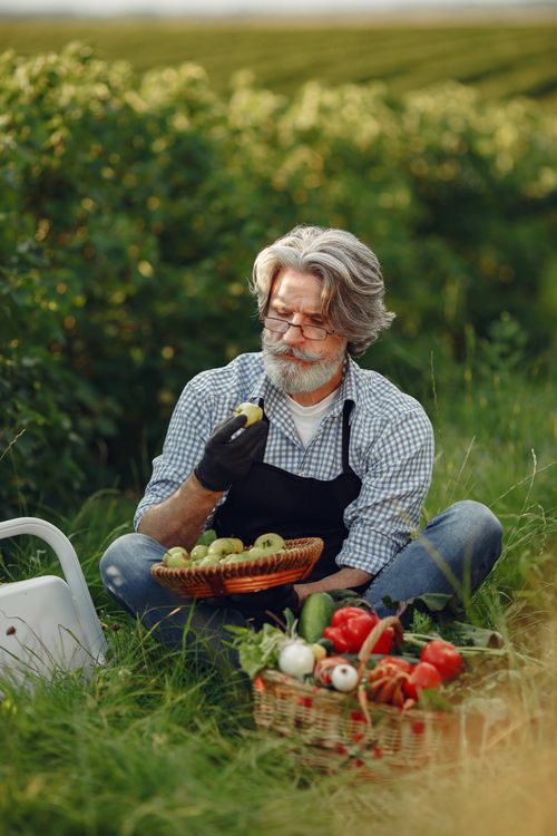 Free Senior man surrounded by fresh vegetables, enjoying the countryside. Stock Photo