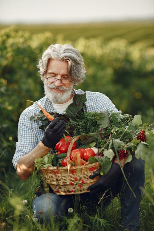 Free Man with Fresh Harvested Vegetables Stock Photo