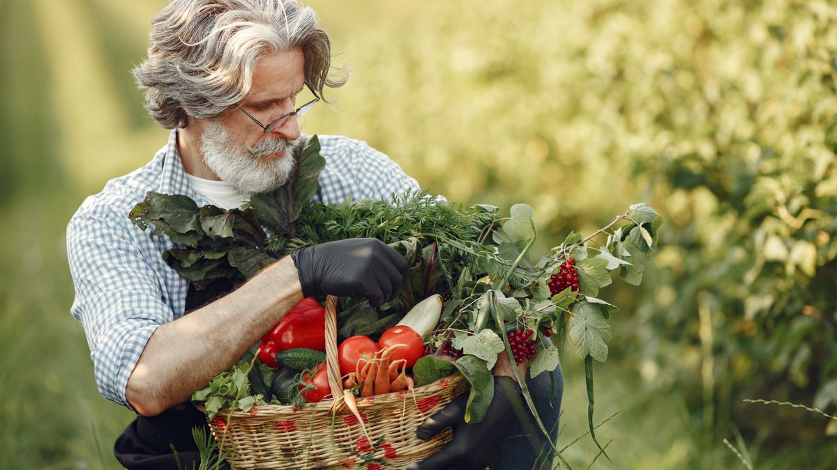 Potager dété : quelles variétés de légumes privilégier en Maine-et-Loire ?