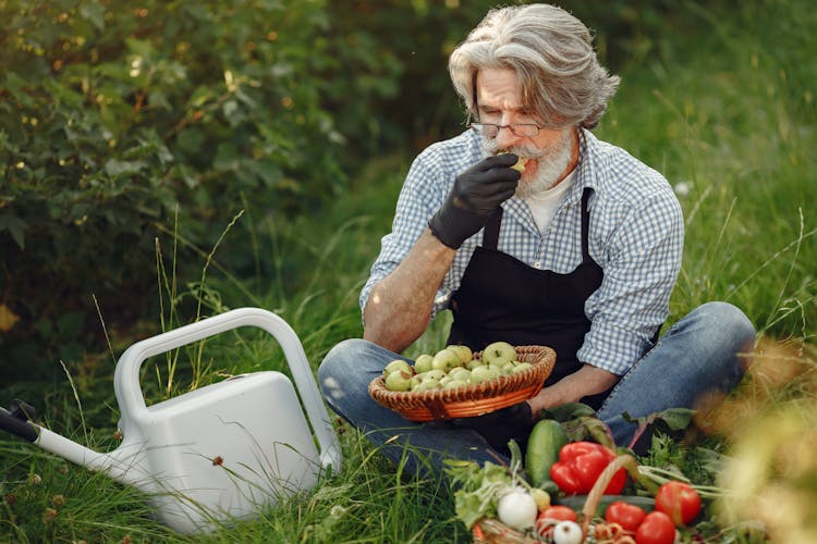 Elderly Farmer Eating Harvest From Farm