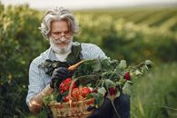 Woman in White and Black Checkered Dress Shirt Holding Basket of Red and Green Fruits