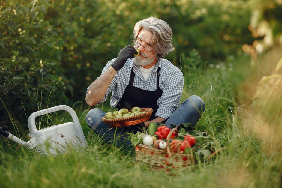 Elderly gardener enjoys freshly picked vegetables and fruits outdoors.