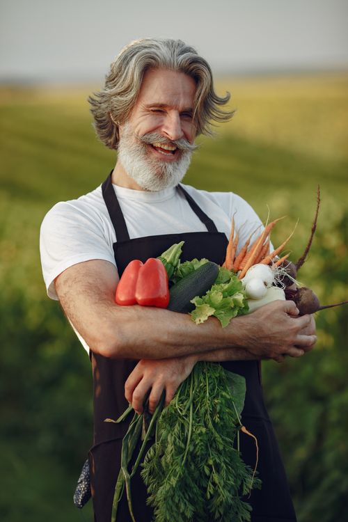 Free Smiling senior farmer holding a variety of fresh vegetables in a lush green field. Stock Photo