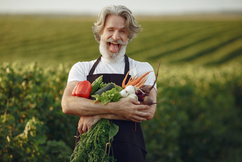 Producer Food Chain: Fresh Produce Export Explained