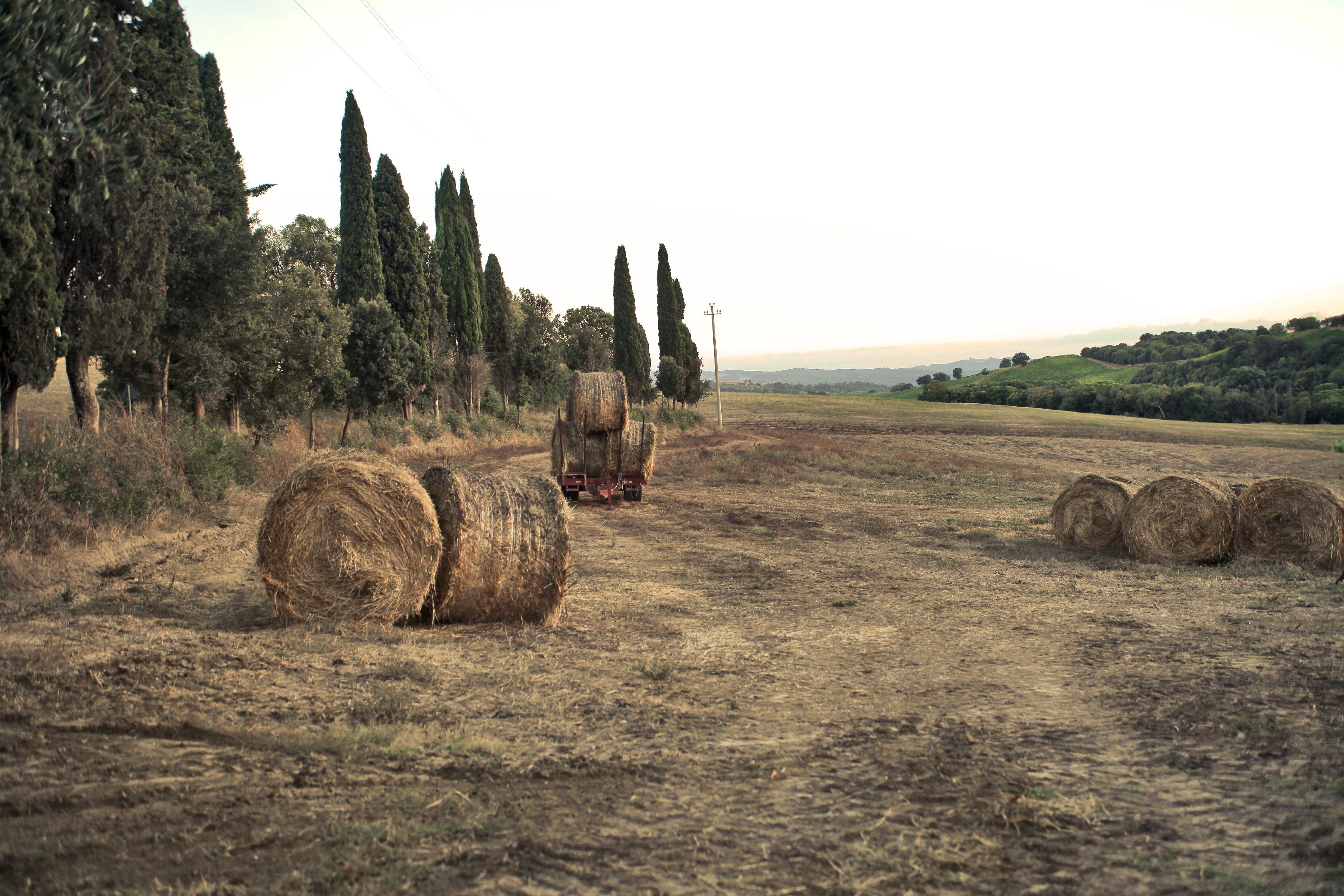 Picturesque scene of Tuscany's rolling fields with hay bales and cypress trees at sunset.