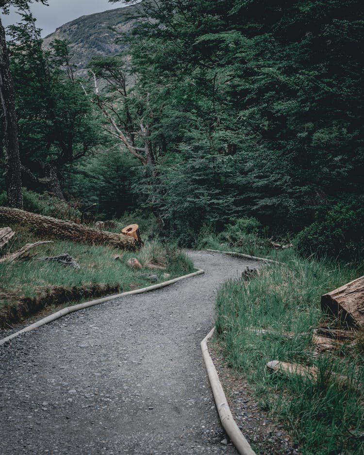 A Scenic Trail At Torres Del Paine National Park