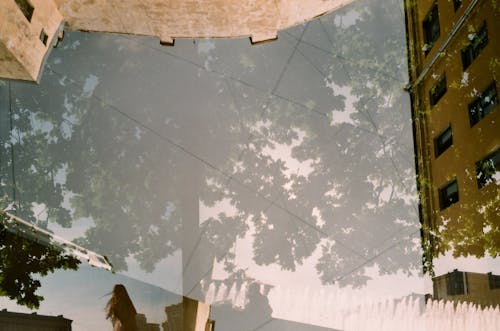 35mm, ガラス, フィルムの無料の写真素材