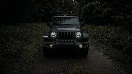 Black Vehicle in a Forest