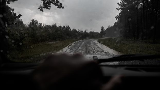 View of a rainy dirt road through a lush pine forest, creating a moody atmosphere.