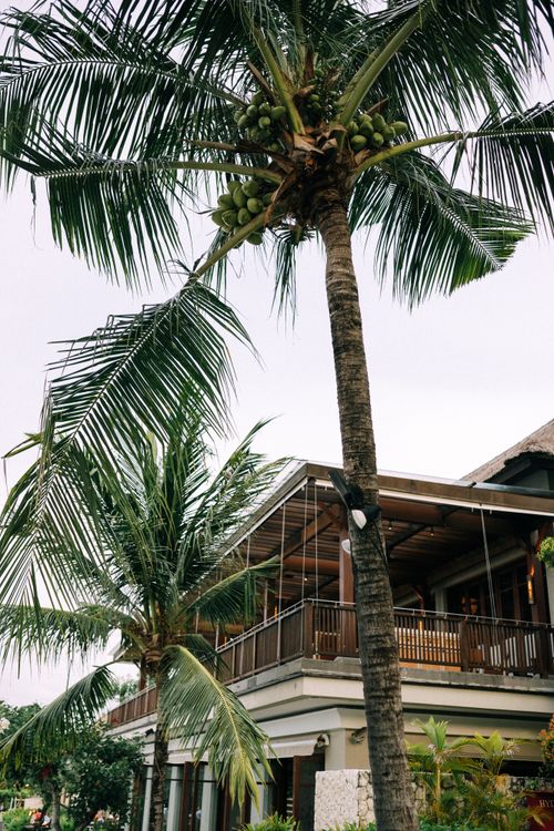 Free Luxurious tropical resort with coconut palms and wooden balcony. Stock Photo
