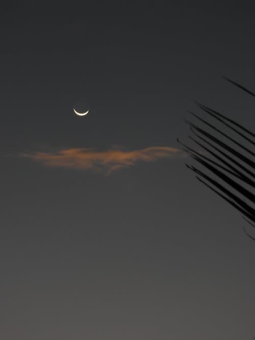 Free Moon in sky in evening time Stock Photo