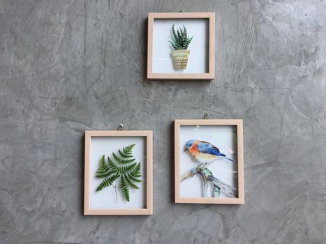 framed botanical art