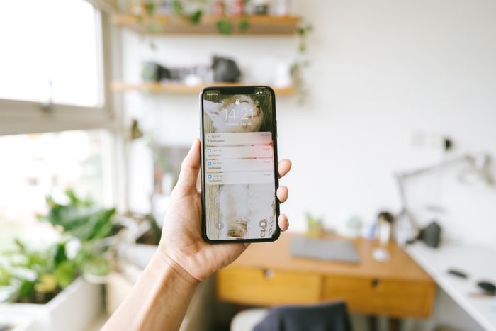 Hand holding smartphone showing delivery notification