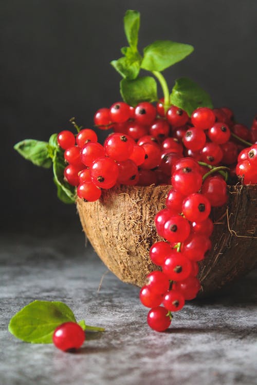 Red Currants in a Coconut Shell